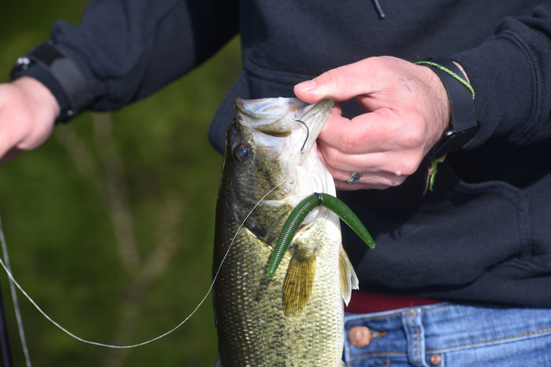 How to Fish with a Wacky Worm: A Beginner’s Guide