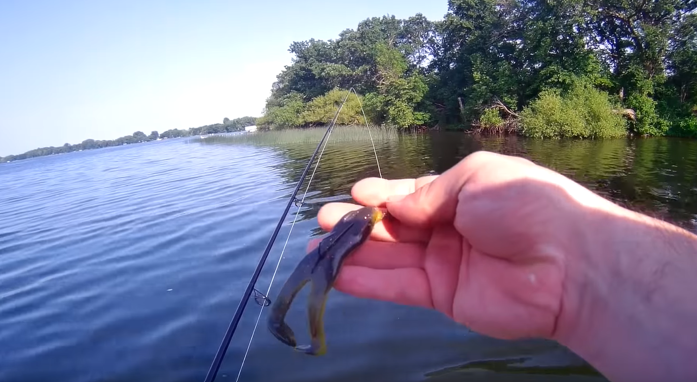 Bass Fishing Lake Structures: Cattails & Pencil Reeds with the Ribbit Frog